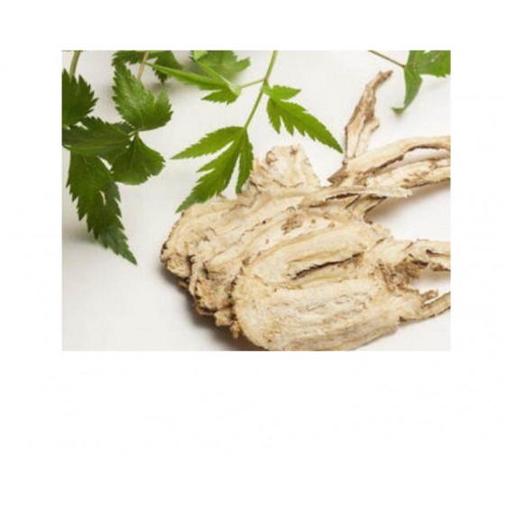 Angelica Sinensis, 當歸純精油, 10ml Angelica Sinensis, 當歸純精油, 10ml
