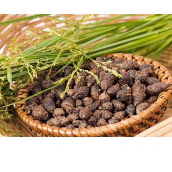 Nagarmotha,   香附子根純精油,   10ml