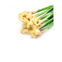 Ginger , 薑純精油 , 10ml Ginger , 薑純精油 , 10ml