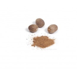 Nutmeg , 肉荳蔻純精油 , 10ml Nutmeg , 肉荳蔻純精油 , 10ml