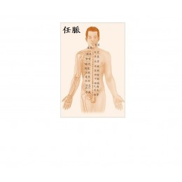 任脈調油, 5ml 任脈調油, 5ml