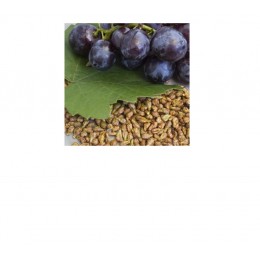 Grapeseed Oil, 葡萄籽油 , 100ml Grapeseed Oil, 葡萄籽油 , 100ml