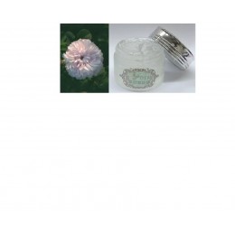 Rose otto Gel (奧圖玫瑰純露凝膠), 60ml Rose otto Gel (奧圖玫瑰純露凝膠), 60ml