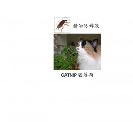 檸檬貓薄荷精油防蟑防蟻液, 250ml 填充瓶 檸檬貓薄荷精油防蟑防蟻液, 250ml 填充瓶